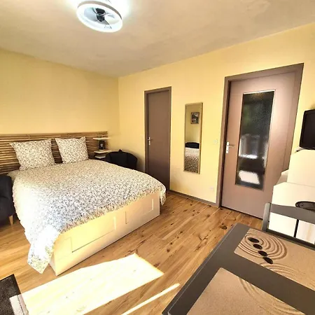 Le Saint Charles A - Idealement Bien Situe A 50 M Des Thermes Chevalley ! Mae-1223 Lejlighed